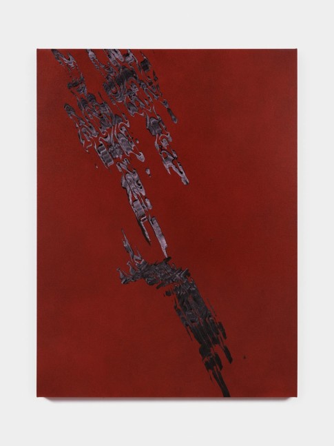 Tauba Auerbach, Grain - Grain - Periodic Mandelbrot Quartet, 2022, acrylic on canvas, wood stretcher, 60 x 45 in. (152.4 x 114.3 cm)
