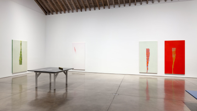 Installation view, Tauba Auerbach, Projective Instrument, January 9 – February 13, 2016