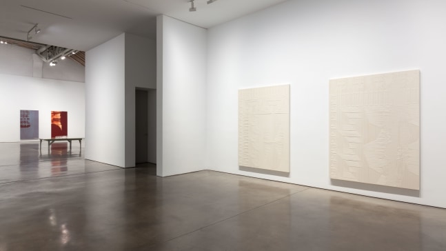 Installation view, Tauba Auerbach, Projective Instrument, January 9 – February 13, 2016