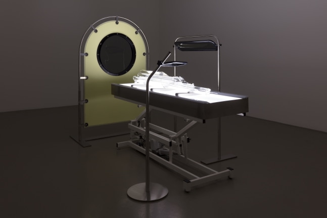 Tauba Auerbach Non-Invasive Procedure, 2018 adjustable height medical table, light box, three lenses with stainless steel supports, polarized film, plastic and glass overall: 69 1/2 x 48 x 95 in. (176.5 x 121.9 x 241.3 cm)