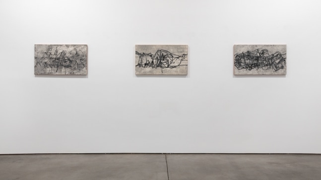 Installation view, Beatrice Caracciolo, Battaglia, February 16 – March 23, 2013