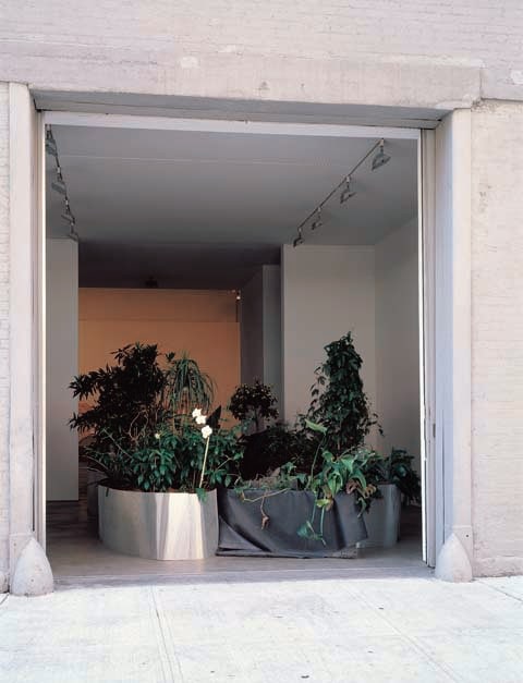 Meg Webster "Long Pool" 2000 Plants, steel, rubber, aluminum, water, fish, mulch Dimensions varie