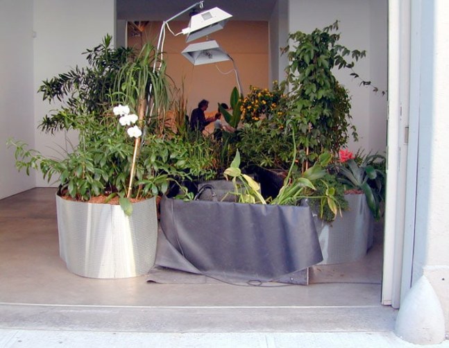 Installation view, New Work, Paula Cooper Gallery, 534 W 21st Street, New York. September 9 - October 10, 2000. © Meg Webster. Courtesy Paula Cooper Gallery, New York.