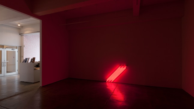 Installation view, Carl Andre, Dan Flavin, Sol LeWitt, January 10 – March 7, 2015