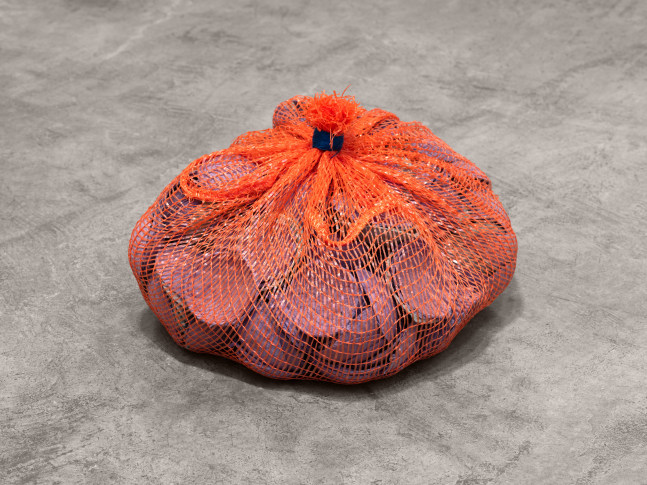 Veronica Ryan, Bundle II, 2019 paper, plastic net, elastic