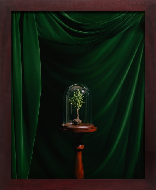 Sarah Charlesworth, Homage to Nature, 1995 Cibachrome print with mahogany frame