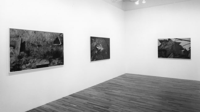 Installation view, New Work, Paula Cooper Gallery, 149 Wooster Street, New York, October 14 - November 13, 1993. Photo: Geoffrey Clements.