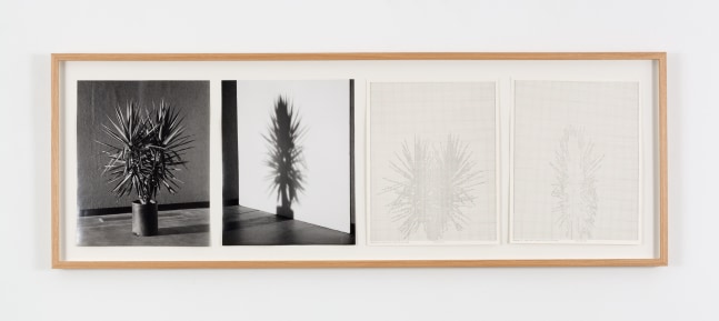 Charles Gaines Shadows VIII, Set 1, 1980 photographs, ink on paper 2 photographs, each: 20 x 16 in. (50.8 x 40.6 cm) 2 drawings, each: 20 x 16 in. (50.8 x 40.6 cm) frame: 25 1/8 x 72 1/4 x 1 5/8 in. (63.8 x 183.5 x 4.1 cm)