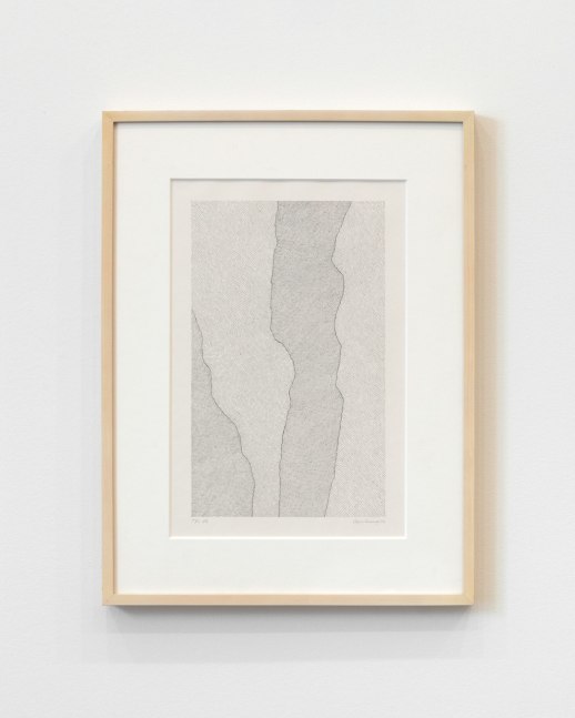 Jan J. Schoonhoven &quot;T 82-56&quot; 1982 Ink on paper 19 3/4 x 12 7/8 in.
