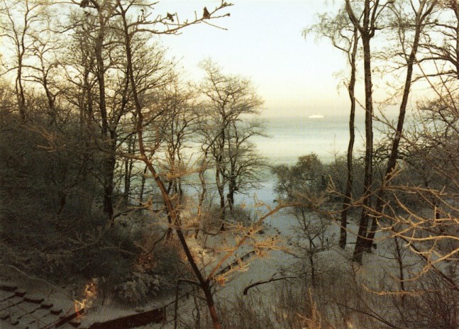 Sherrie Levine "Postcard Collage #3" 2000 24 postcards on matboard each: 20 x 16 in.