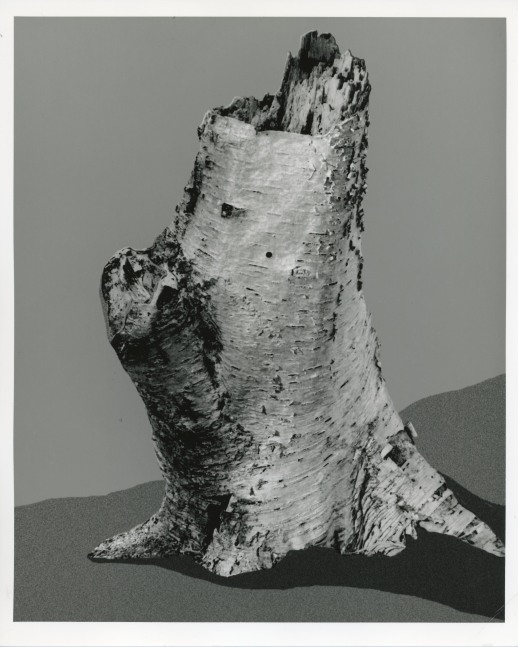 Peter Campus &quot;replica&quot; 1990 Digital photograph 20&quot; x 24&quot; sheet