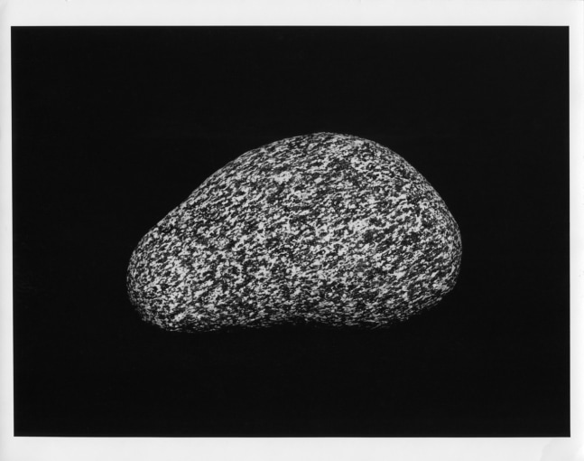 Peter Campus &quot;Half Life&quot; 1987 Photoprojection 54&quot; x 92&quot;