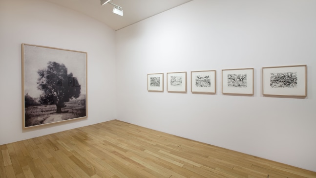 Installation view, Beatrice Caracciolo, Cercare nella Terra, February 5 – March 19, 2011