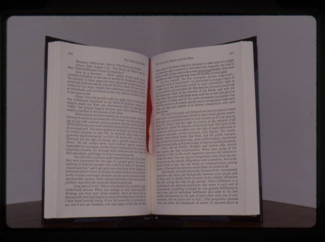 Jonathan Borofsky &quot;Big Book Reproduction, pages 276-277 ('The Individual and the Nature of Mass Events', author Jane Roberts, published by Prentice Hall, Inc.) at 3,214,883&quot; 1990 Aluminum, steel, plywood, formica, fiberglass, painted canvas, foam, Naugahyde, silkscreen on paper 102 1/4&quot; x 111&quot; x 52 1/2&quot;