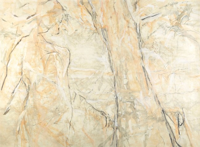 Beatrice Caracciolo Incedere, 2013 pigment, water soluble chalk, graphite, gouache on Saunders Waterford Paper on canvas 58 x 72 1/2 in. (147.3 x 184.2 cm)