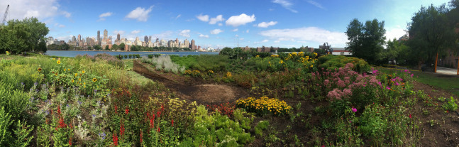Meg Webster Concave Room for Bees, 2016 a site-specific installation 70 feet in diameter created from over 300 cubic yards of soil forming an earthen bowl 5 feet high planted with flowers, herbs and shrubs that attract pollinating creatures, Socrates Sculpture Park, New York, 2016.