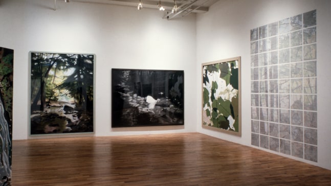 Installation view, Up the Creek to the Islands, Paula Cooper Gallery, 155 Wooster Street, New York, May 8 - June 5, 1982. © Jennifer Bartlett. Courtesy Paula Cooper Gallery, New York, Marianne Boesky Gallery, New York, and The Jennifer Bartlett 2013 Trust. Photo: Geoffrey Clements.