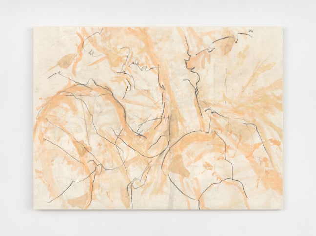 Beatrice Caracciolo Intenzione, 2013 pigment, water soluble chalk, graphite, gouache on Saunders Waterford Paper on canvas 42 1/2 x 57 3/4 in. (108 x 146.7 cm)
