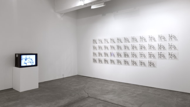 Installation view, Dissolving Margins, March 19 – April 25, 2015