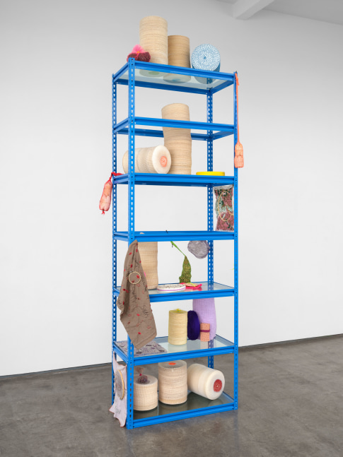 Veronica Ryan
Between A Rock and A Hard Place, 2022
metal, glass, paper plates, glue, hydrocal, fabric, thread, orange peel, embroidery ring, custard apple and soursop seeds, sculpey, batting, plastic net, plastic bottles and elastic band
123 1/4 x 42 x 28 1/2 in. (313.1 x 106.7 x 72.4 cm)