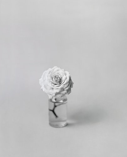 Bing Wright "Rose (Extra Small Vase) 1996-2006 Archival inkjet print 53 x 43 in.