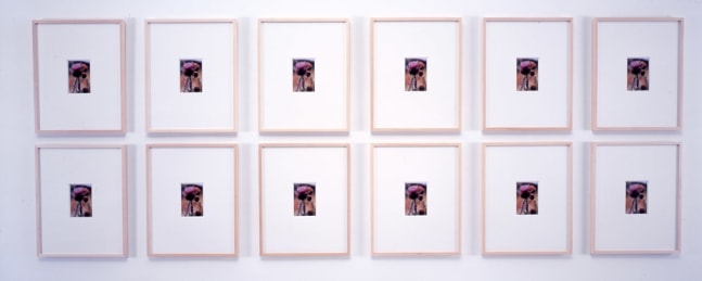 Sherrie Levine "Postcard Collage #5" 2001 12 postcards on matboard each: 20 x 16 in.