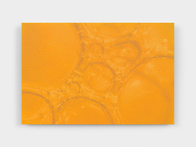 Tauba Auerbach
Foam, 2023
acrylic on dibond
16 x 24 x 1 in. (40.6 x 61 x 2.5 cm)