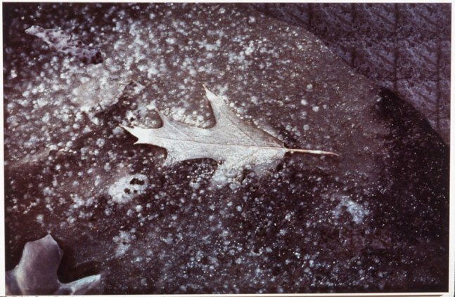 Peter Campus &quot;froze&quot; 1993 Computer altered photograph 40&quot; x 59 3/4&quot;