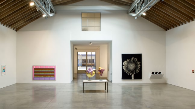Installation view, Still Life & Kicking, Paula Cooper Gallery, 534 W 21st Street, New York. May 10 - June 8, 2007.