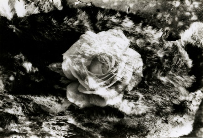 Jay DeFeo Untitled, 1972 gelatin silver print 2 3/4 x 4 1/16 in. (7 x 10.3 cm)