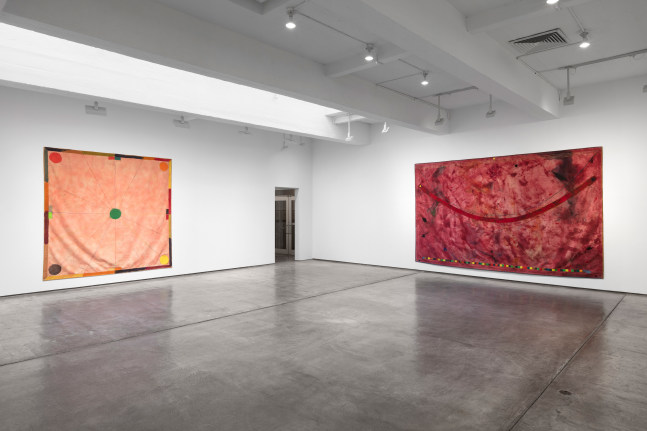 Installation view, Alan Shields, January 10 – February 16, 2019
