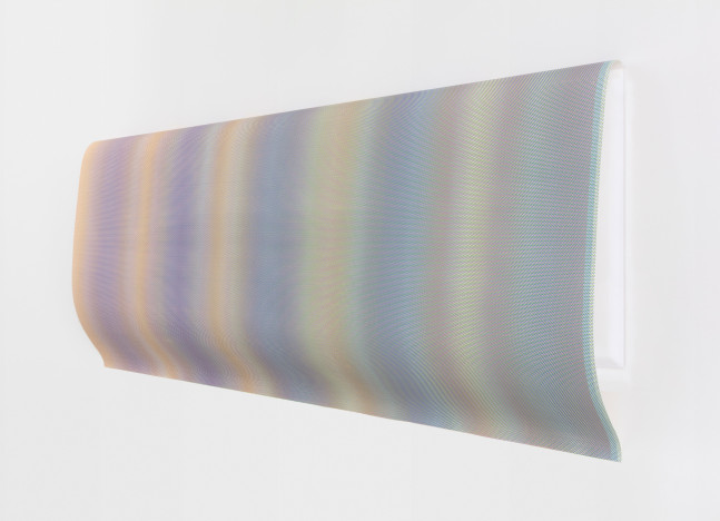 Jane Benson, System of Nature (Reflection II), 2020 archival inkjet print on canvas mounted on paper, plywood