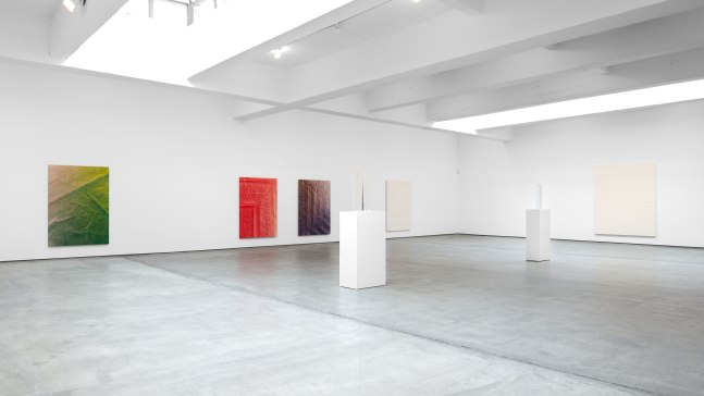Installation view, Tauba Auerbach, Float, May 5 – June 9, 2012