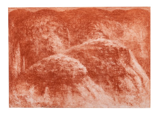 Untitled, 2020
(Drawing 14)
Red earth (sanguine) on paper
8.2 x 11.8 inches / 21 x 30 cm
15.7 x 18.7 inches / 40 x 47.5 cm (framed dimensions)