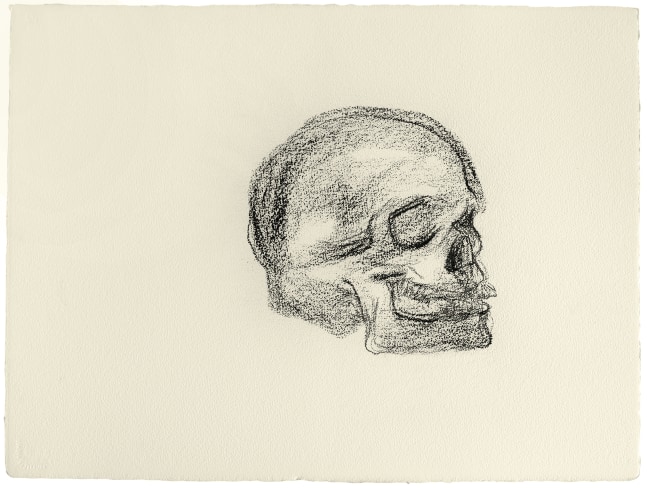 Gieve Patel
Skull 1, 2010
Charcoal on paper
22 1/2 x 30 inches (57.1 x 76.2 cm)