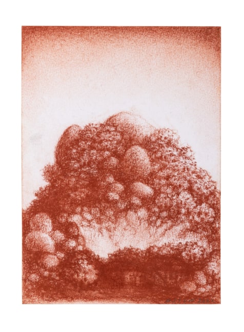 Untitled, 2022
(Drawing 29)
Sanguine on paper
8 x 5.9 inches / 20.5 x 15 cm
14.9 x 11.8 inches / 38 x 30 (framed dimensions)