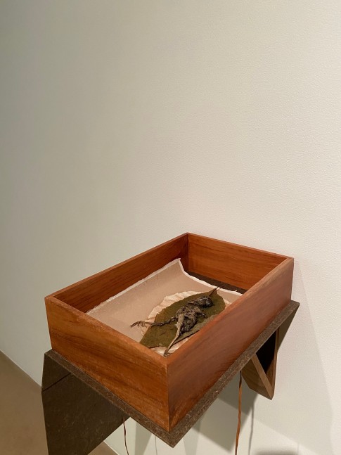 BENITHA PERCIYAL  Will you leave me here dying, 2021, Handmade bookcase of Banana fibre &amp; wood, impression of leaf on handmade paper, found skeleton of Myna, wooden shelf