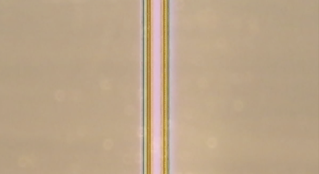 Film still from Pink Stripe, 2018
Original sound, 1 min 35 sec

Edition of 3 + 1 AP