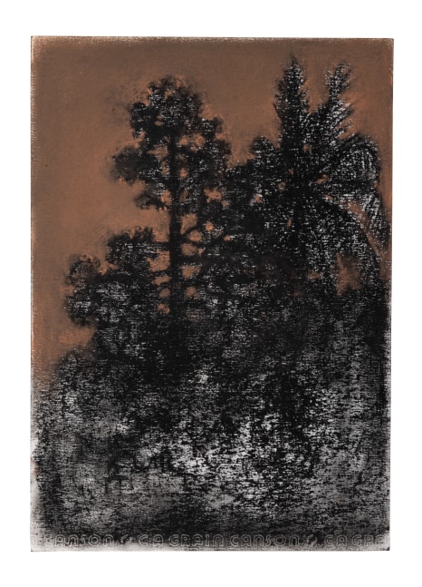 Untitled, 2020
(Drawing 21)
Soft pastel and charcoal on paper
11.8 x 8.2 inches / 30 x 21 cm
19.6 x 15 inches / 50 x 38 cm (framed dimensions)