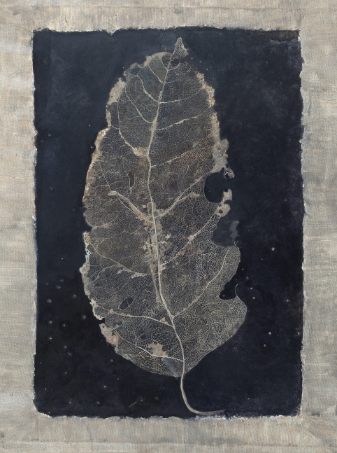 SIJI KRISHNAN, Portrait (leaf), 2012, water colour on rice paper pasted on canvas, 73.6 x 55 cm / 29 x 21.6 in