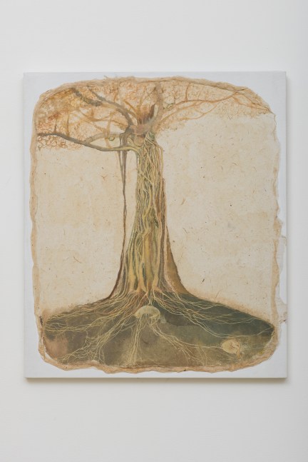 Portrait of a Banyan Tree,&amp;nbsp;2015

Watercolour on rice paper pasted on canvas

20.6 x 17.8 in / 52.5 x 45.3 cm