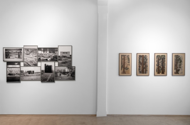 Left to Right&amp;nbsp;

GAURI GILL, From the series&amp;nbsp;Re-memory,&amp;nbsp;2003 - ongoing

VINNIE GILL, Pine Trees 1&amp;nbsp;- 4

&amp;nbsp;