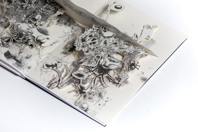 From Arachnophobia to Arachnophilia: Underwater Spider
Tom&amp;aacute;s Saraceno, 2021

Artist&amp;rsquo;s book, with five hand-cut paper pop-up scenes&amp;nbsp;

Page spread: 23.4&amp;quot; x 16.5&amp;quot;&amp;nbsp;
Edition of&amp;nbsp;125 + 40 artist and collaborator copies

Papercutting by Chisato Tamabayashi, London; sewing by Studio Tom&amp;aacute;s Saraceno, Berlin

INQUIRE