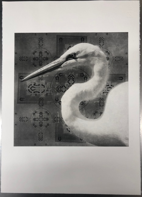 Birds on the Edge (portfolio)
April Vollmer, 2021

Hand set letterpress and etching portfolio with handset letterpress colophon
15&amp;quot; X 19.5&amp;quot;
Edition of&amp;nbsp;6 (plus 4 AP of 4 prints)
$2500 for portfolio of&amp;nbsp;13 plus colopon

Art Print Residence-etchings: colophon::,Dikko Faust, Purgatory Pie Press, hand set metal type+ letterpress

INQUIRE