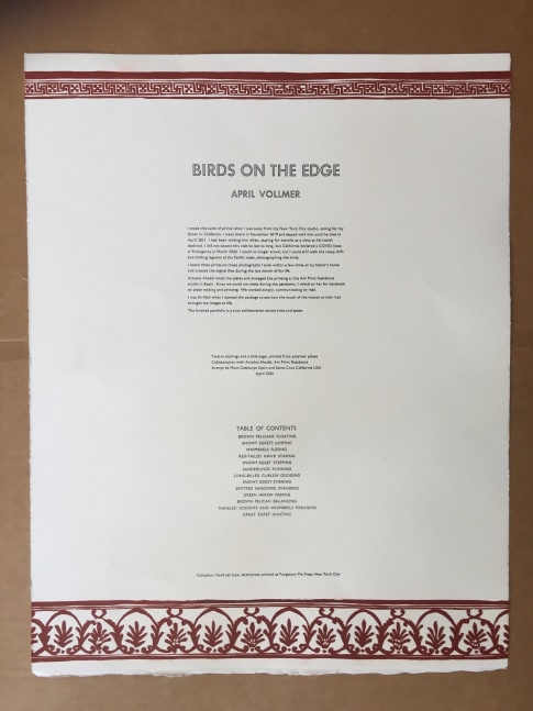 Birds on the Edge&amp;nbsp;(portfolio)
April Vollmer,&amp;nbsp;2021

Hand set letterpress and etching portfolio with handset letterpress colophon
15&amp;quot; X 19.5&amp;quot;
Edition of&amp;nbsp;6 (plus 4 AP of 4 prints)
$2500 for portfolio of&amp;nbsp;13 plus colopon

Art Print Residence-etchings: colophon::,Dikko Faust, Purgatory Pie Press, hand set metal type+&amp;nbsp;letterpress

INQUIRE