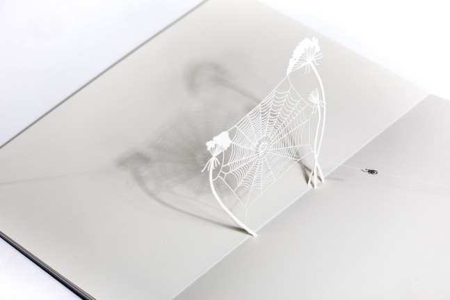 From Arachnophobia to Arachnophilia: Web and Spider
Tom&amp;aacute;s Saraceno,&amp;nbsp;2021

Artist&amp;rsquo;s book, with five hand-cut paper pop-up scenes&amp;nbsp;
Page spread: 23.4&amp;quot; x 16.5&amp;quot;
Edition of&amp;nbsp;125 + 40 artist and collaborator copies

Papercutting by Chisato Tamabayashi, London; sewing by Studio Tom&amp;aacute;s Saraceno, Berlin

INQUIRE