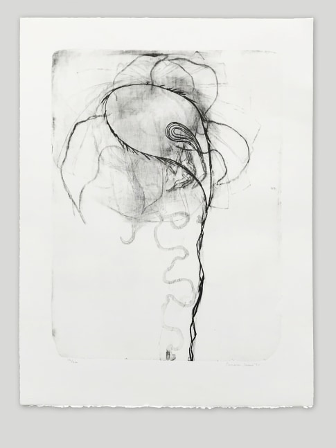 Untitled II
Cameron Jamie, 2021

Lithograph on&amp;nbsp;BFK Rives paper
32&amp;quot; x 24&amp;quot;
Edition of 22

Printed and Published by Idem Paris

INQUIRE