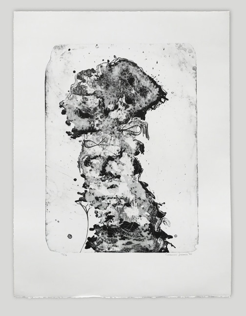 Untitled I
Cameron Jamie, 2021

Lithograph on&amp;nbsp;BFK Rives paper
32&amp;quot; x 24&amp;quot;
Edition of 16

Printed and Published by Idem Paris

INQUIRE