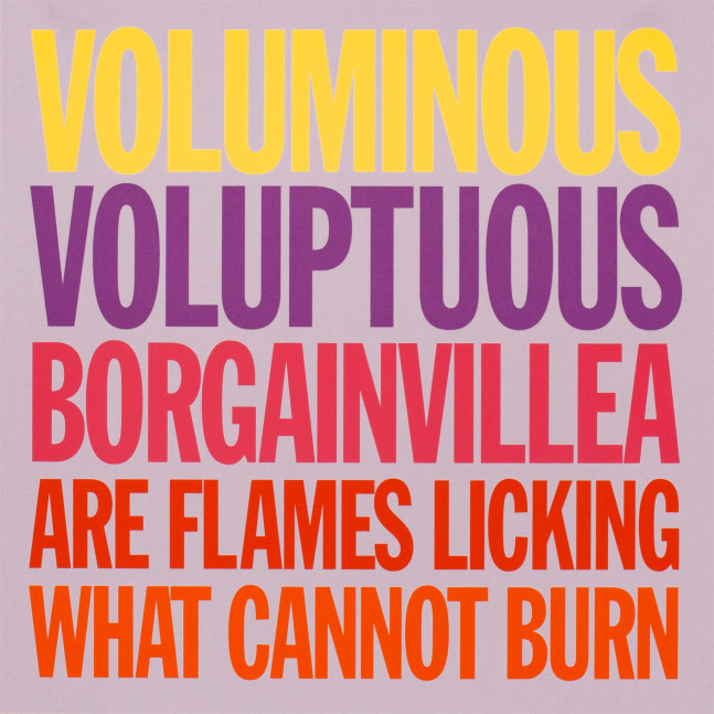 VOLUMINOUS VOLUPTUOUS BORGAINVILLEA ARE FLAMES LICKING WHAT CANNOT BURN, 2007