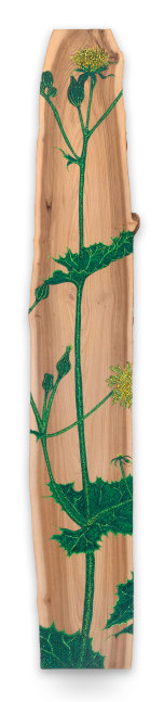 Jason Middlebrook

Sow Thistle, 2019

acrylic on elm

108 x 18 x 1 in.
274.3 x 45.7 x 2.5 cm.

(MIDD005)